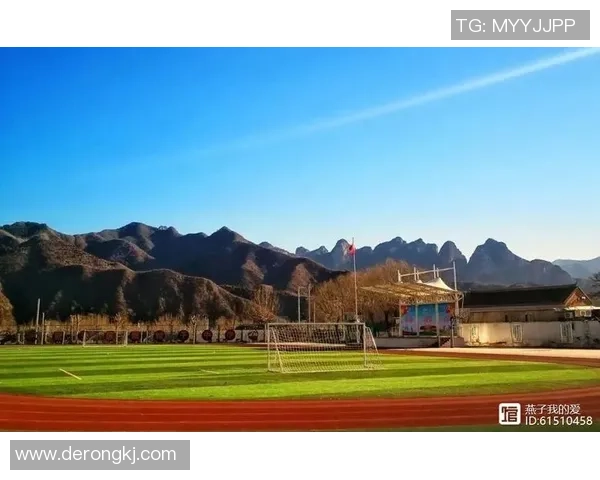 《从绿茵场到心灵深处:国足球星的成长与奋斗之路》 《从绿茵场到心灵深处:国足球星的成长与奋斗之路》